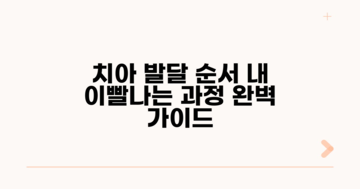 치아 발달, 순서대로 나는 과정