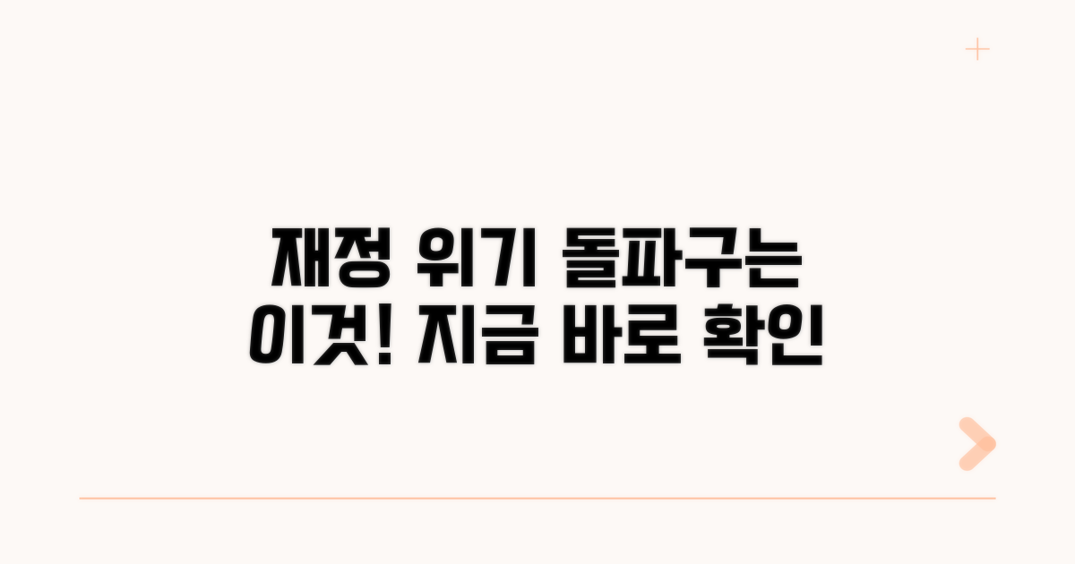 재정 위기, 돌파구는 이것