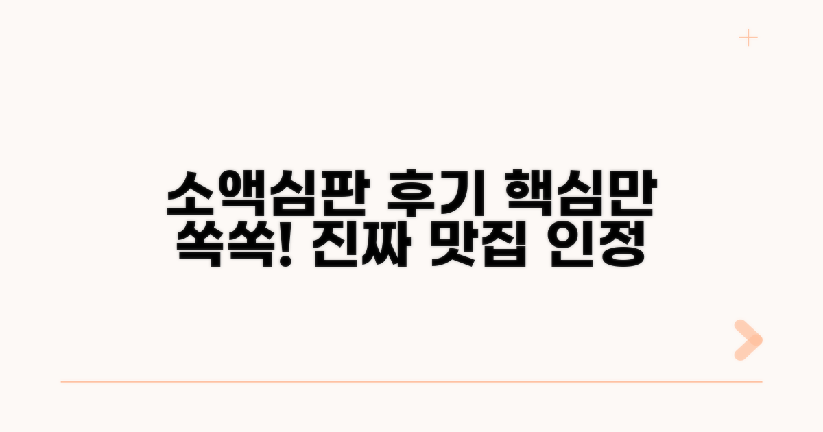 디시 소액심판 후기 맛집