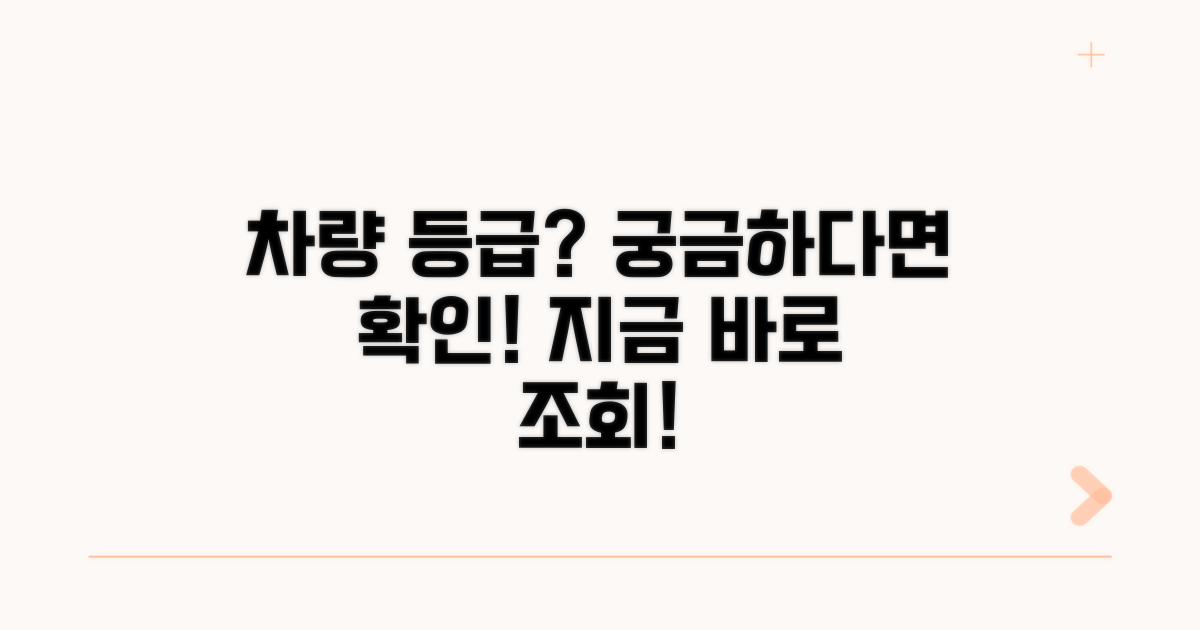 나의 차량은 몇 등급일까? 확인 방법