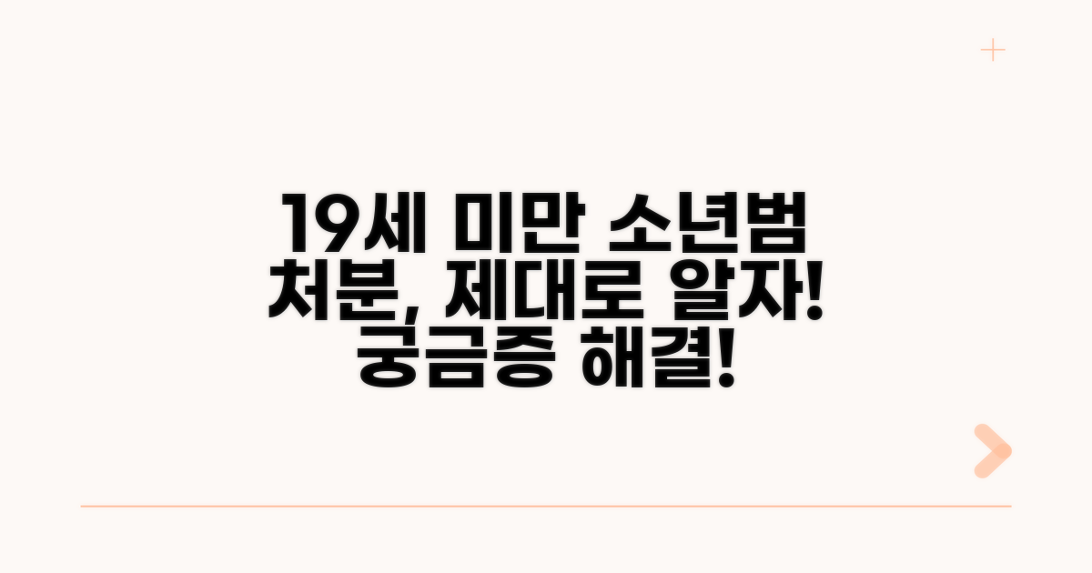 19세 미만 소년범 처분 상세