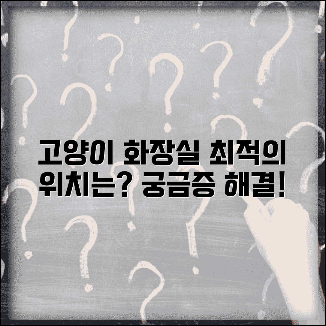 고양이 화장실 위치 어디에 두는게 좋나요 | 고양이 화장실 | 위치 | 환경