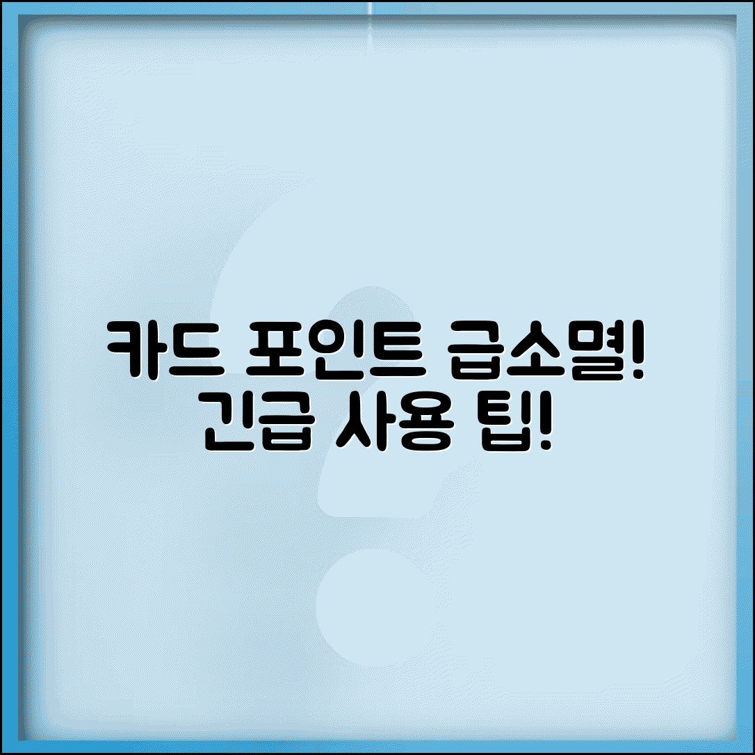 카드 포인트 소멸 예정인데 급하게 쓸 수 있는 방법 있나요 | 포인트 급소멸 | 긴급 사용 | 활용 팁