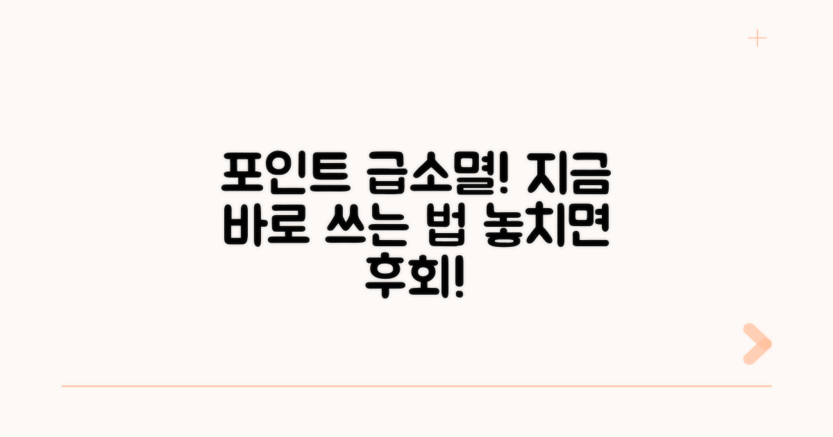 포인트 급소멸! 지금 바로 쓰는 법