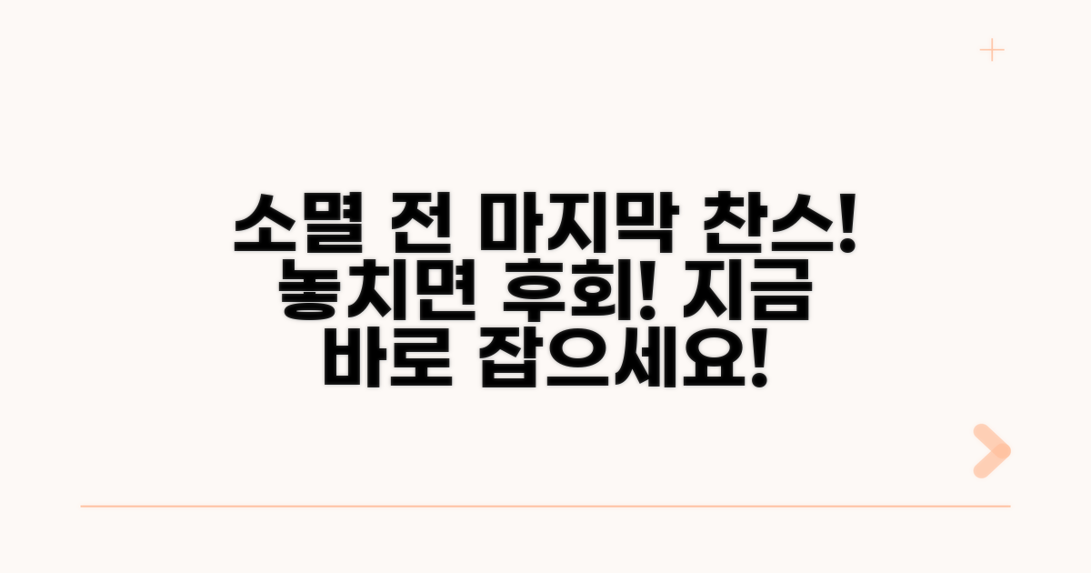 소멸 전 마지막 찬스 활용