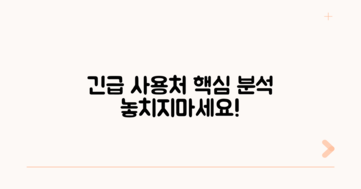 긴급 사용처 집중 분석