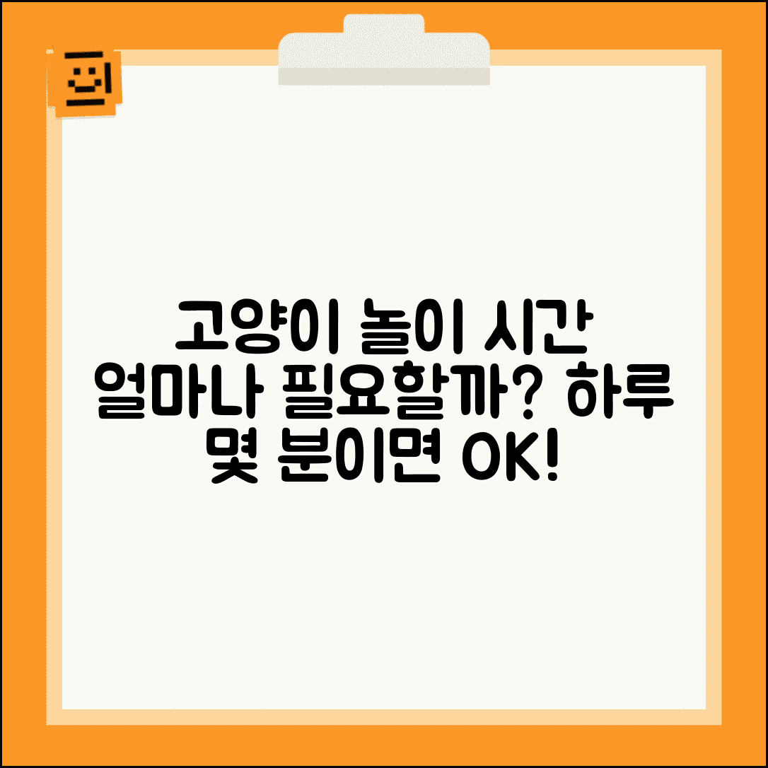 고양이 놀이 시간 하루 몇 분 | 고양이 놀아주는 시간과 빈도