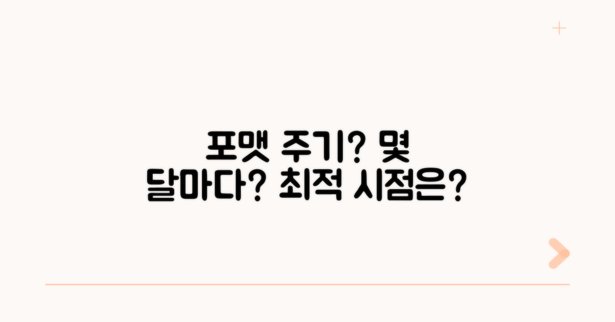 포맷 주기, 얼마나 자주 해야 할까?