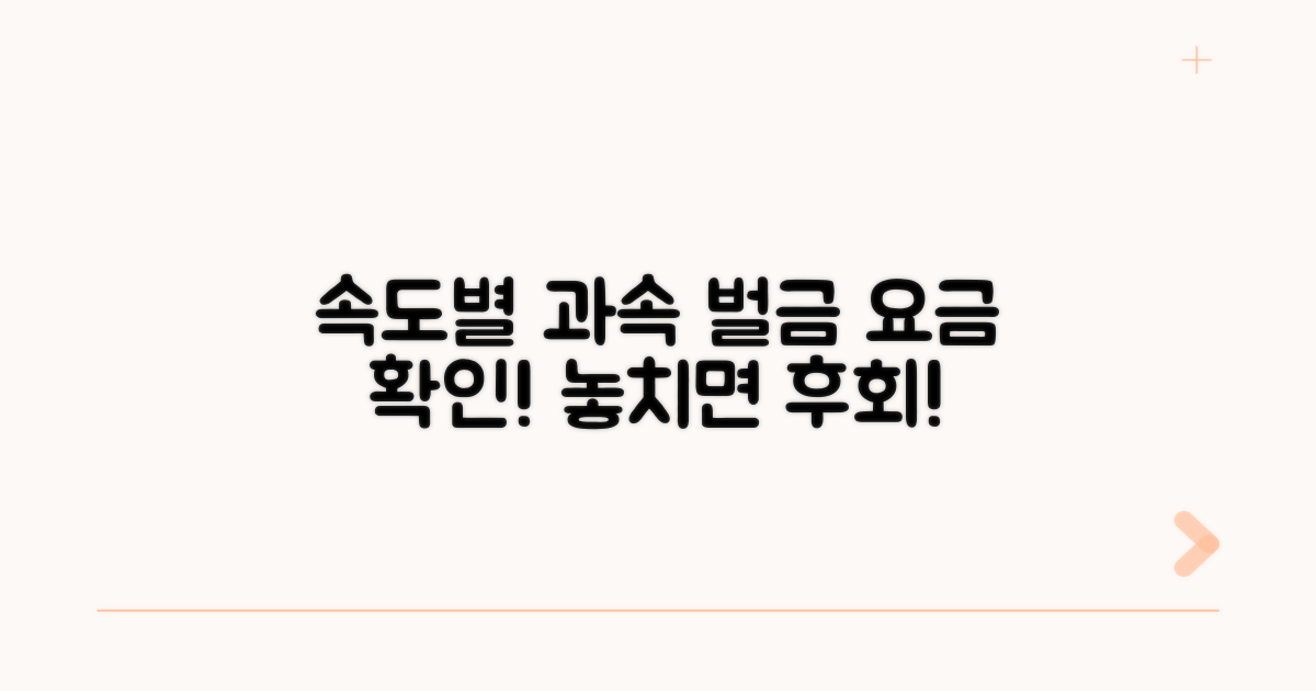 과속 벌금, 속도별 요금 확인