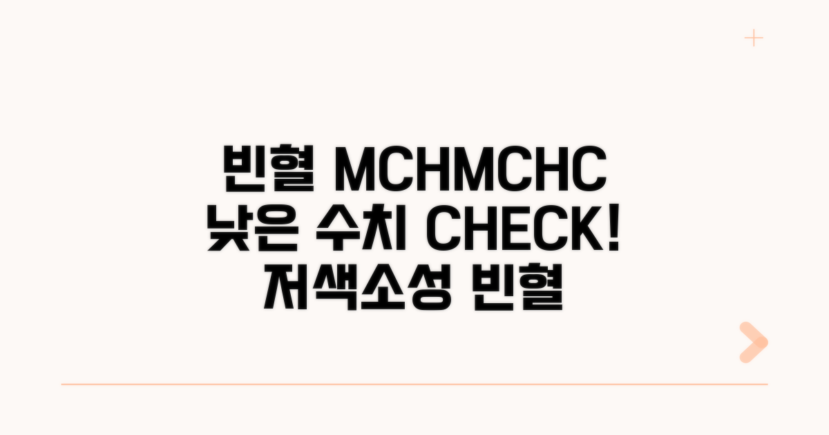 저색소성 빈혈, MCH MCHC 수치 확인