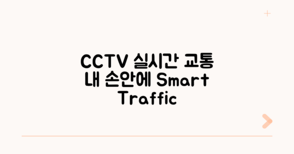 CCTV로 실시간 교통정보 확인