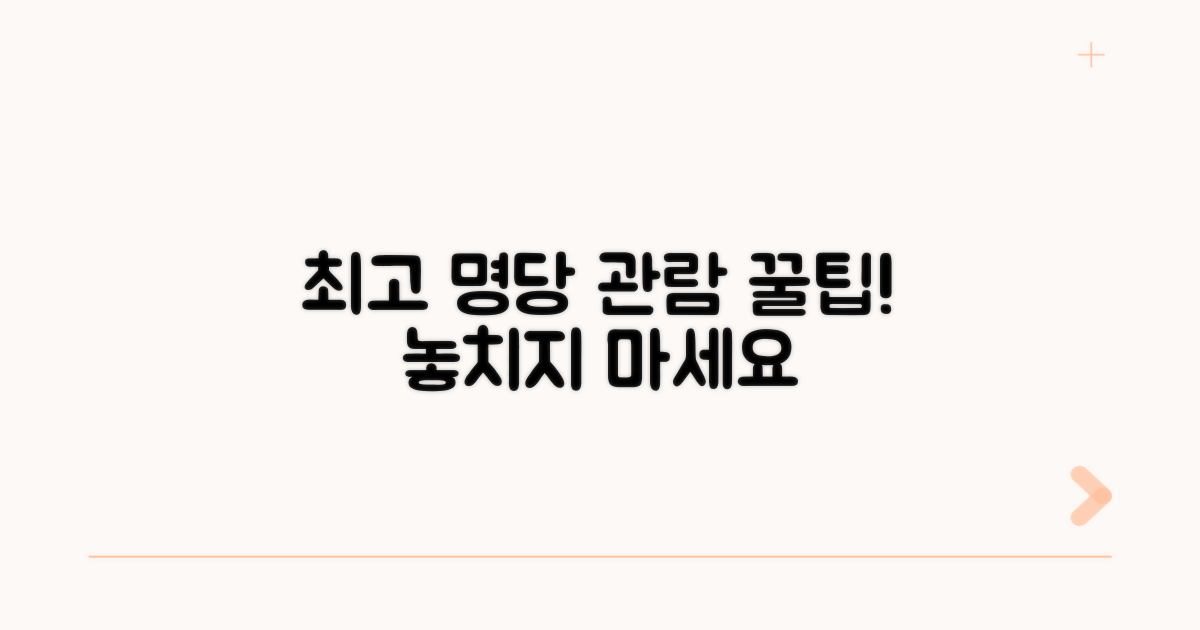최고 명당자리 관람 꿀팁 공개