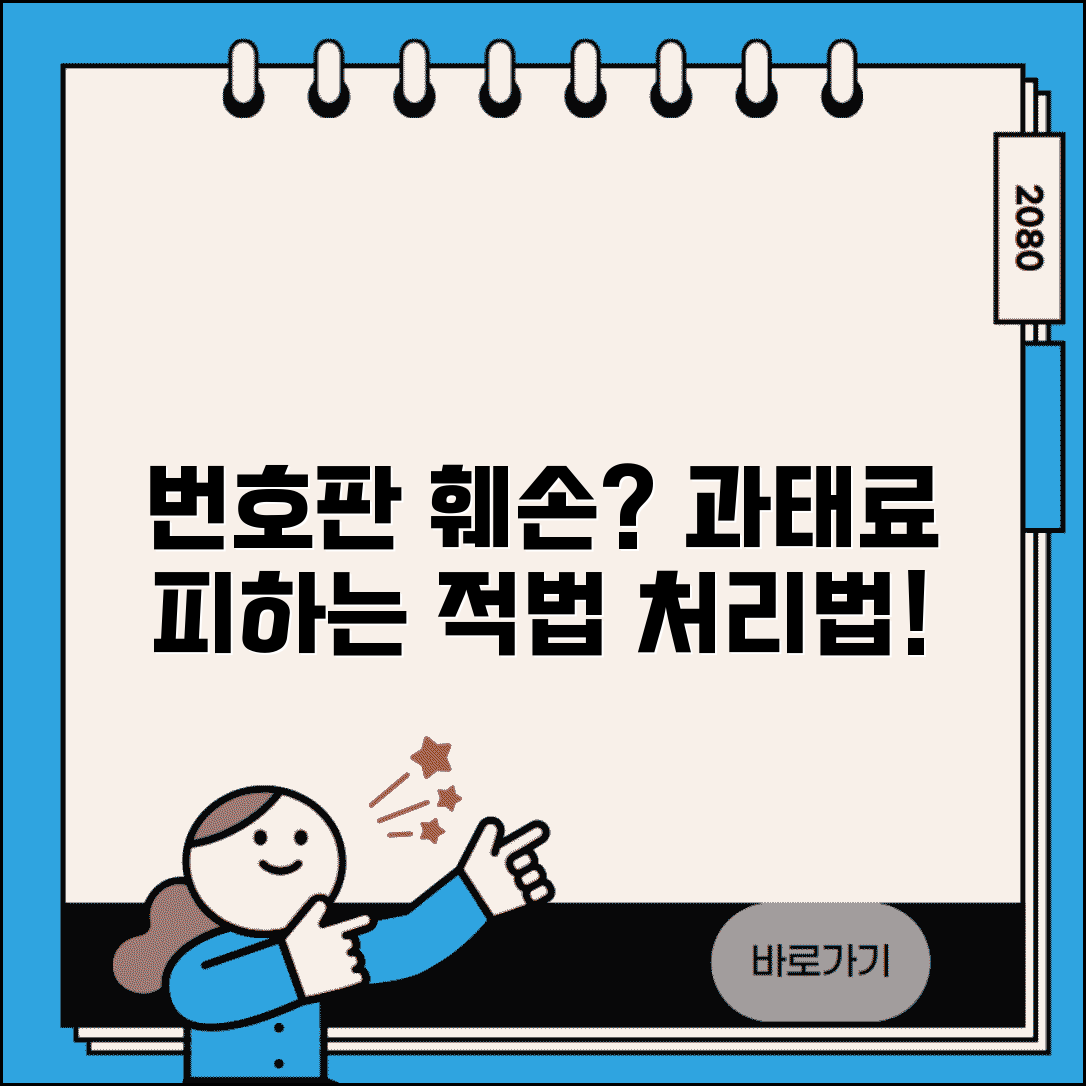 번호판 훼손 시 처리 방법 | 과태료 피하는 적법 처리 절차