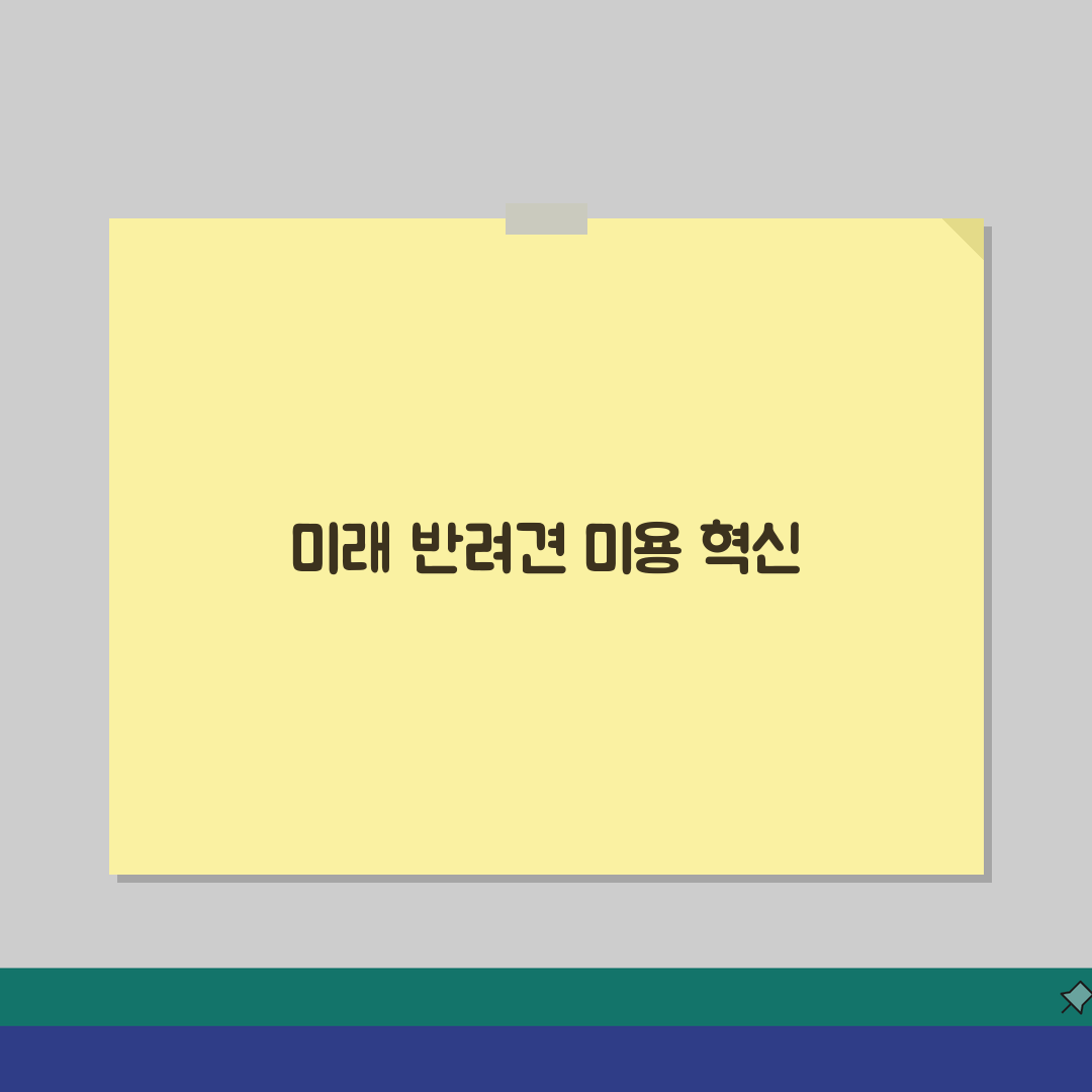 반려견 미용 체크리스트: 도구준비, 순서, 주의사항 + 예약 정보 총정리