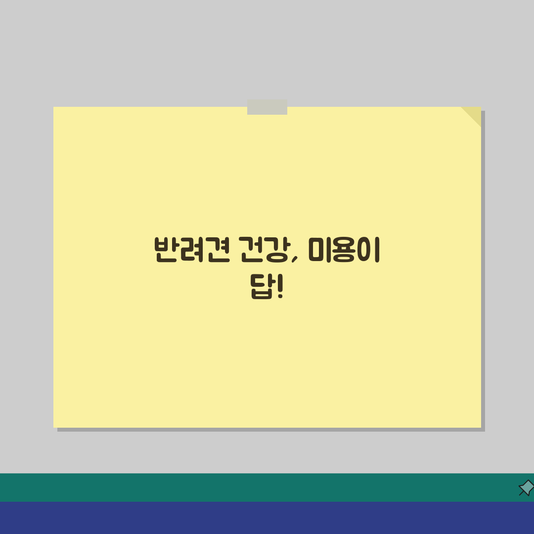 반려견 미용 체크리스트: 도구준비, 순서, 주의사항 + 예약 정보 총정리