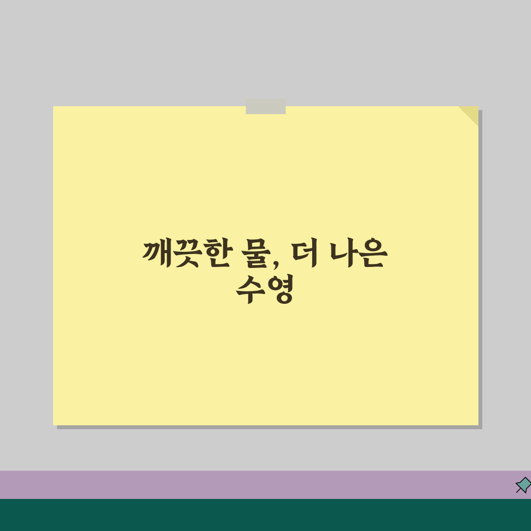 문학박태환수영장 2026 시설안내 | 수영장 수질관리 시스템 개선 추천!
